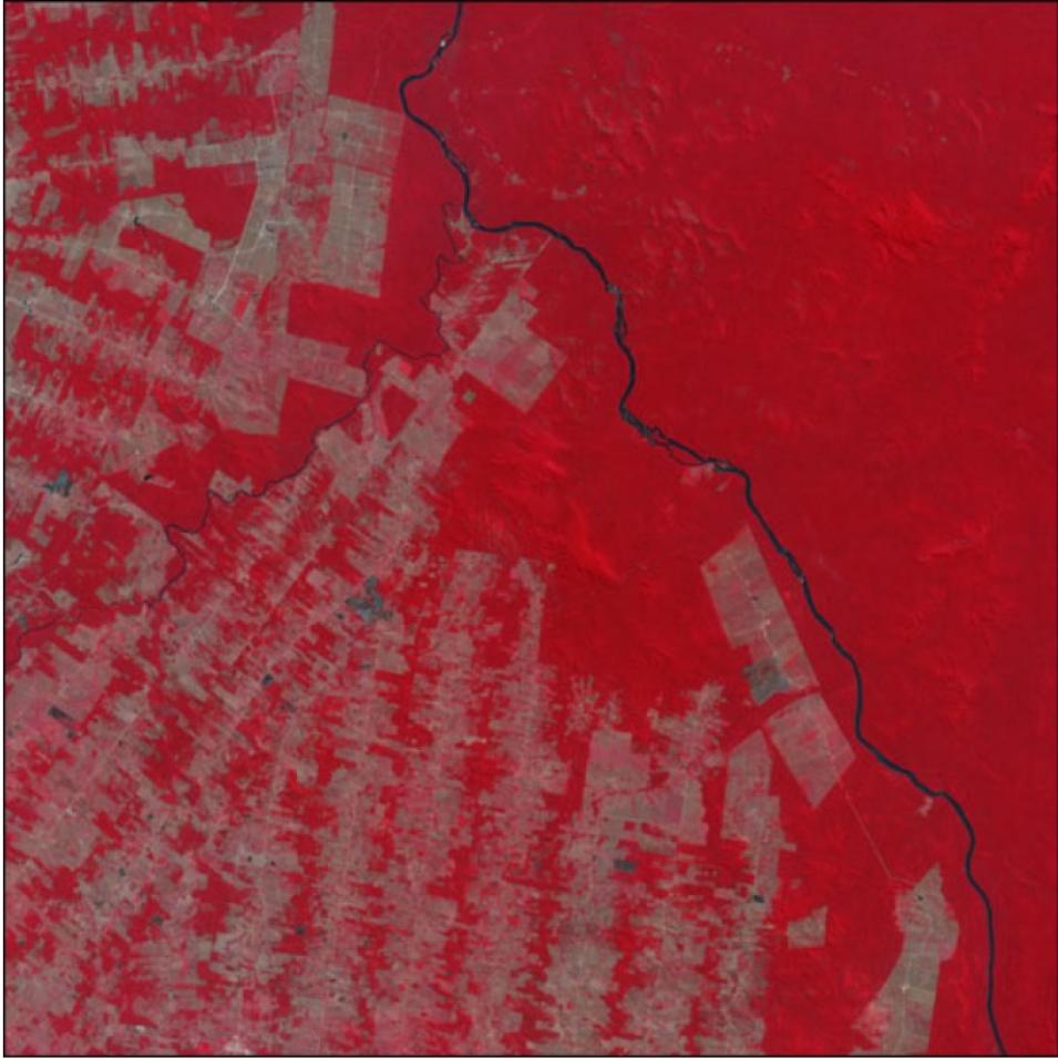 Satellite view of Amazon deforestation in Rondônia