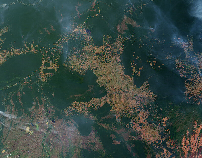 Fires and deforestation on the Amazon frontier in Rondônia, Brazil, August 2007