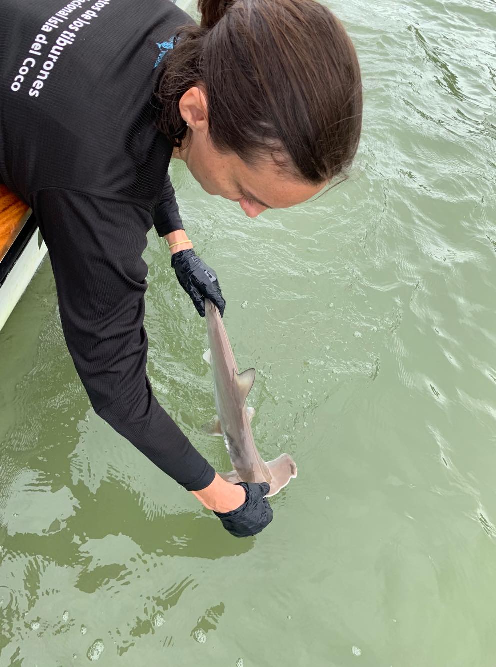 Marine biologist Ilena Zanella with a juvenile scalloped hammerhead shark in Golfo Dulce