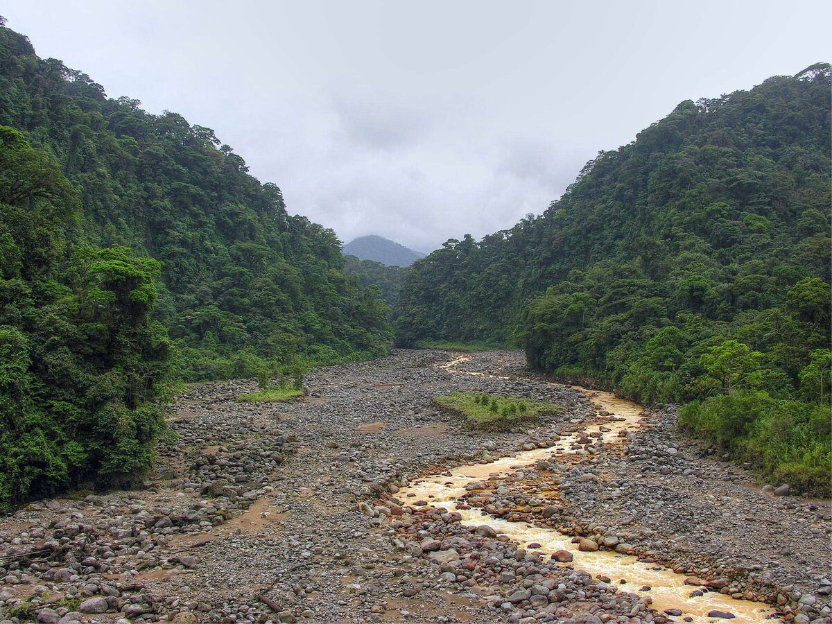 Braulio Carrillo National Park, the protected area bordering Rara Avis
