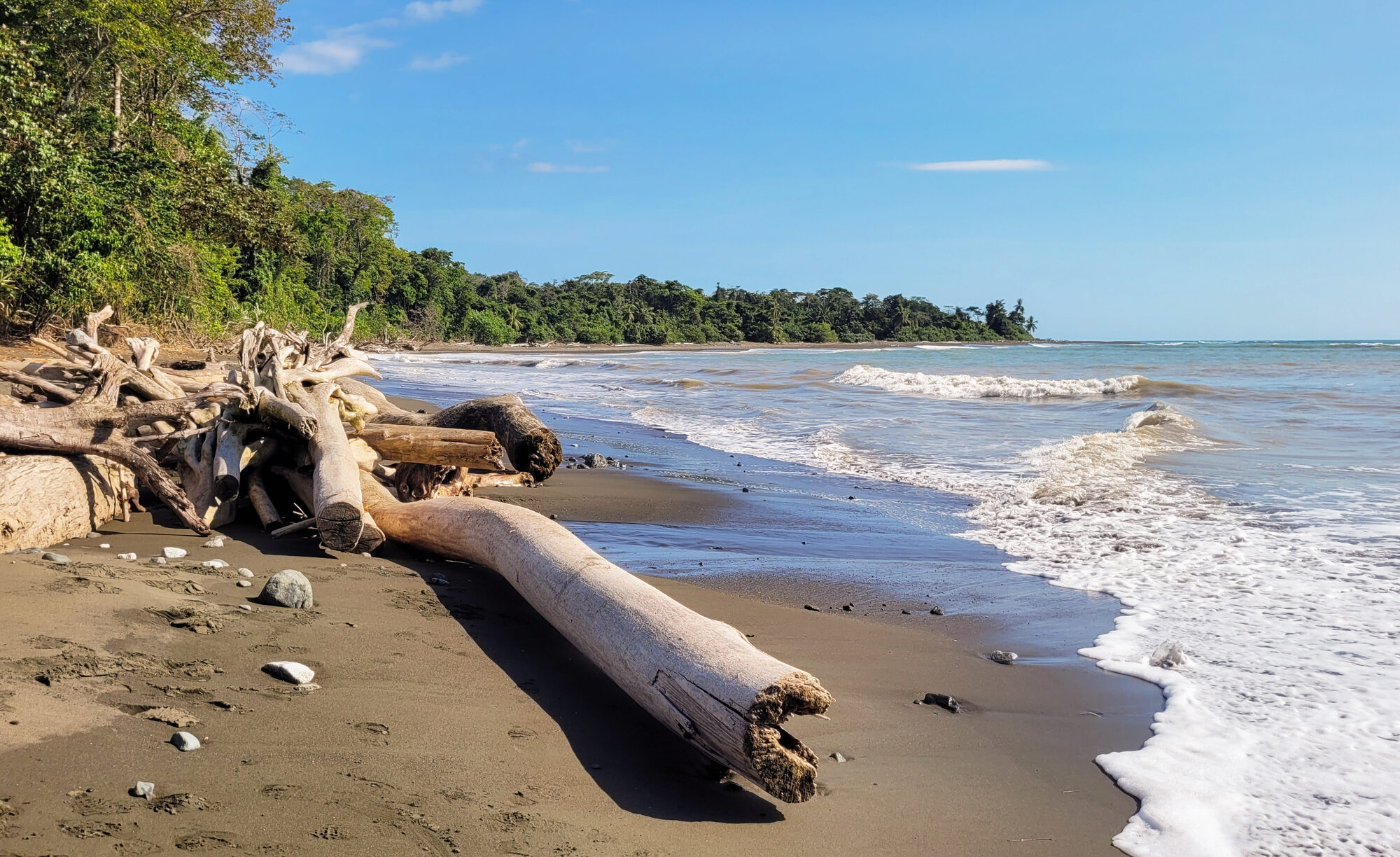 Corcovado National Park rainforest in Costa Rica