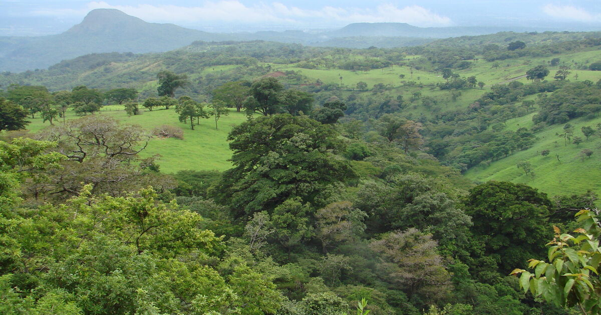 Costa Rica landscape showing integration of pasture and forest