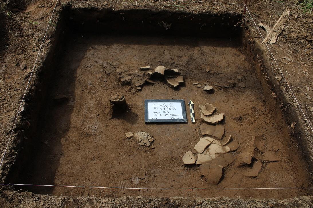 Archaeological excavation showing ceramic fragments scattered in soil at Palmar Sur 8