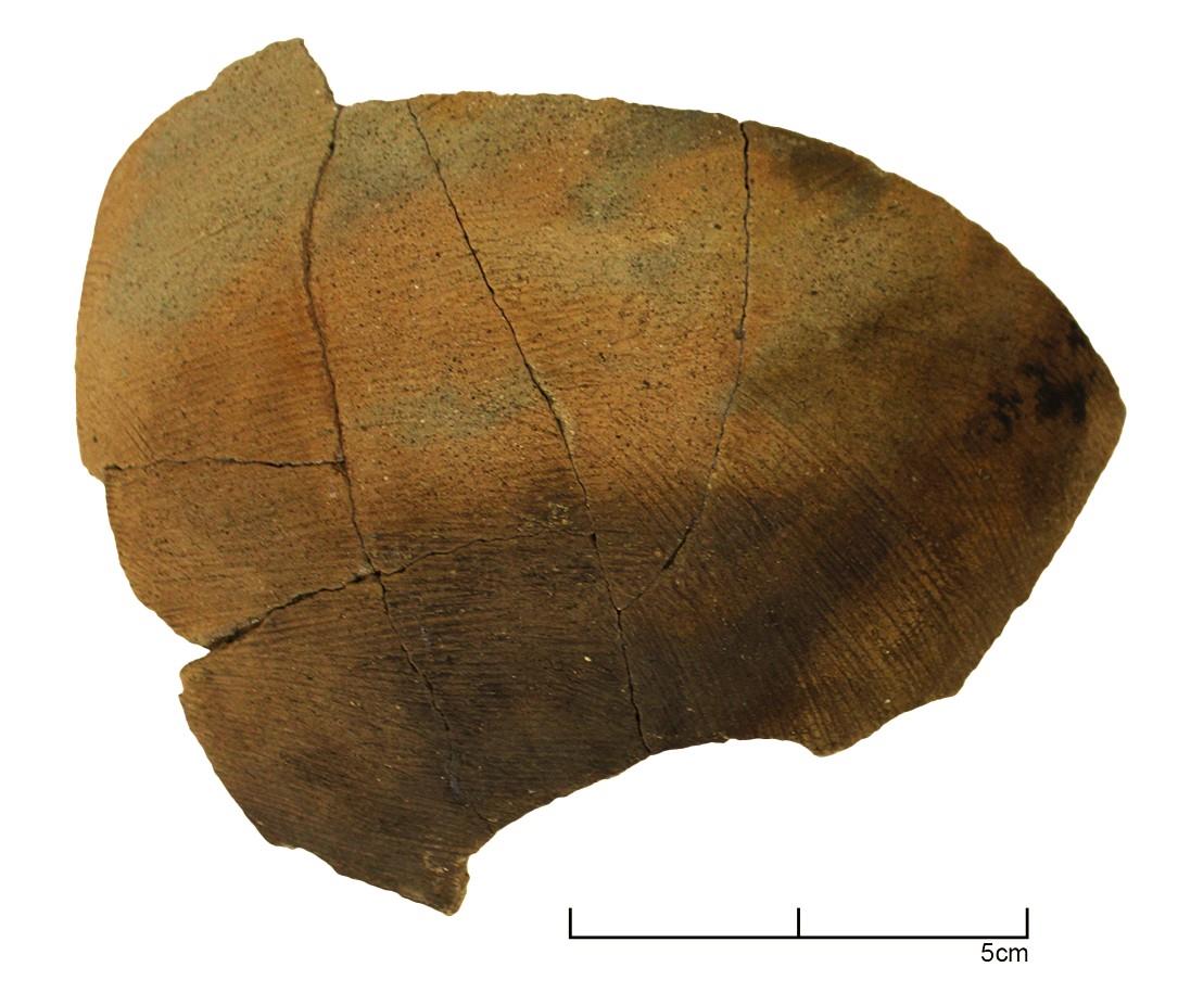 Large ceramic fragment showing parallel incised lines characteristic of the Delta Peinado type