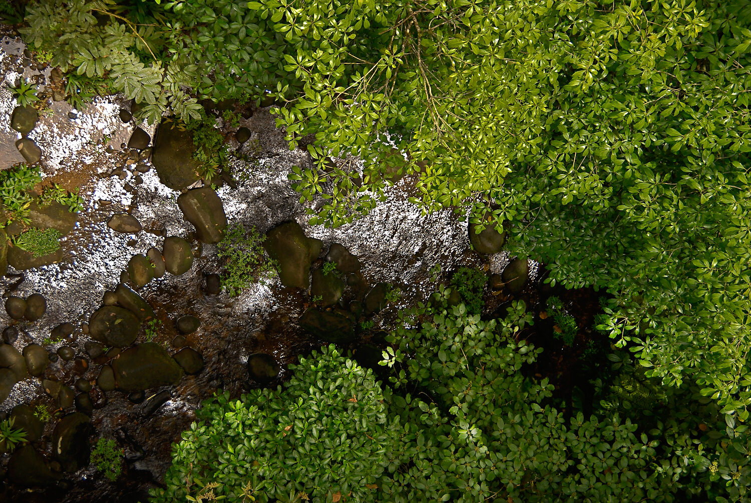Aerial view of forested stream corridor in Costa Rica