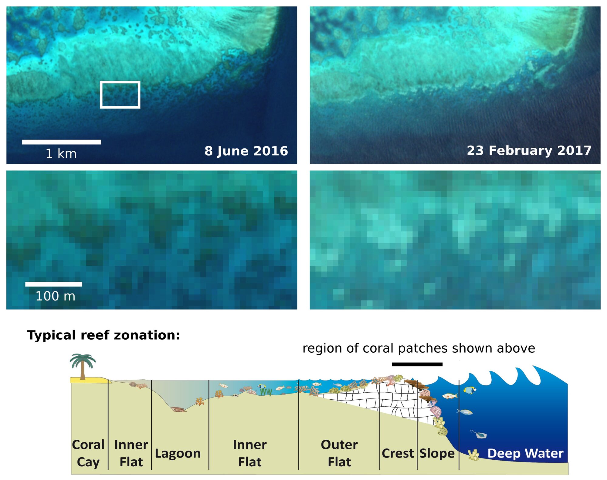Satellite comparison of Adelaide Reef on the Great Barrier Reef showing coral bleaching between June 2016 and February 2017