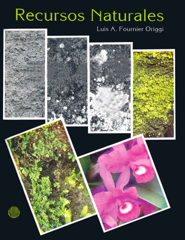 Cover of 'Recursos naturales' by Luis A. Fournier Origgi, the EUNED textbook that won the Premio Nacional Aquileo J. Echeverría.