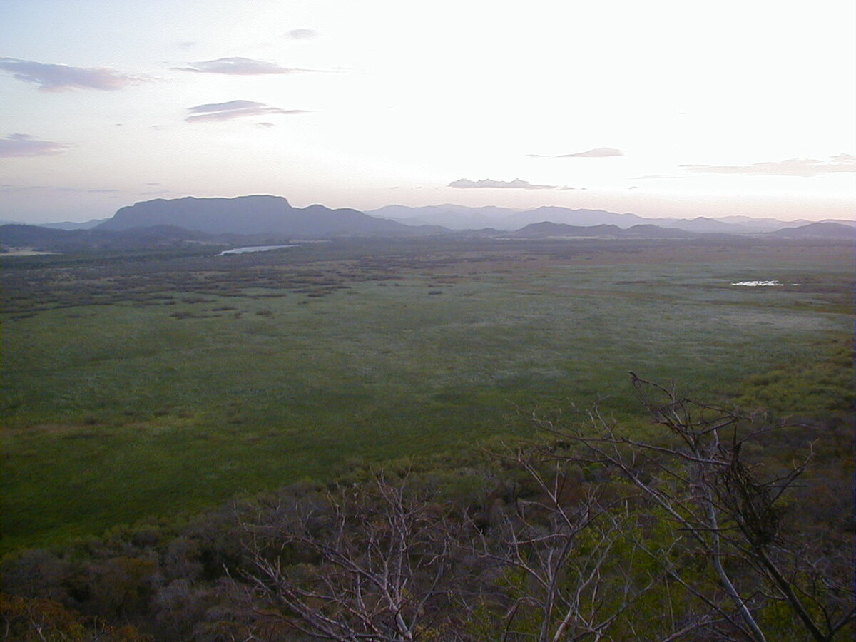 Marshlands along the Tempisque River in Palo Verde National Park, Costa Rica