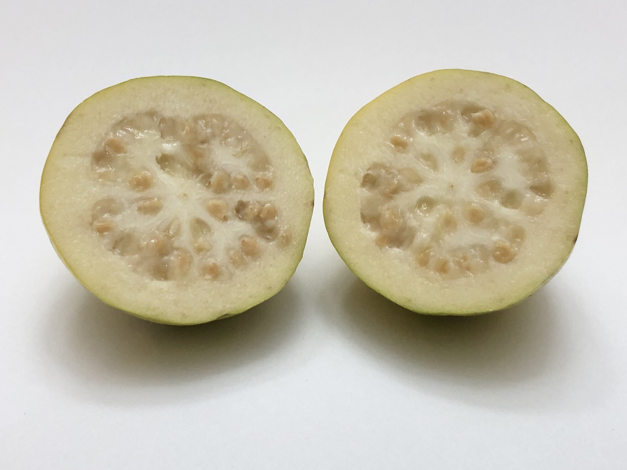 Cut guava fruit showing white flesh and seeds