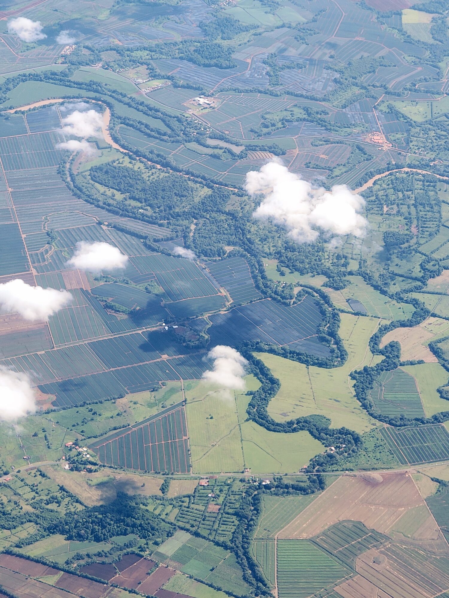 Aerial view of tree-lined rivers creating natural corridors through agricultural landscape in Costa Rica