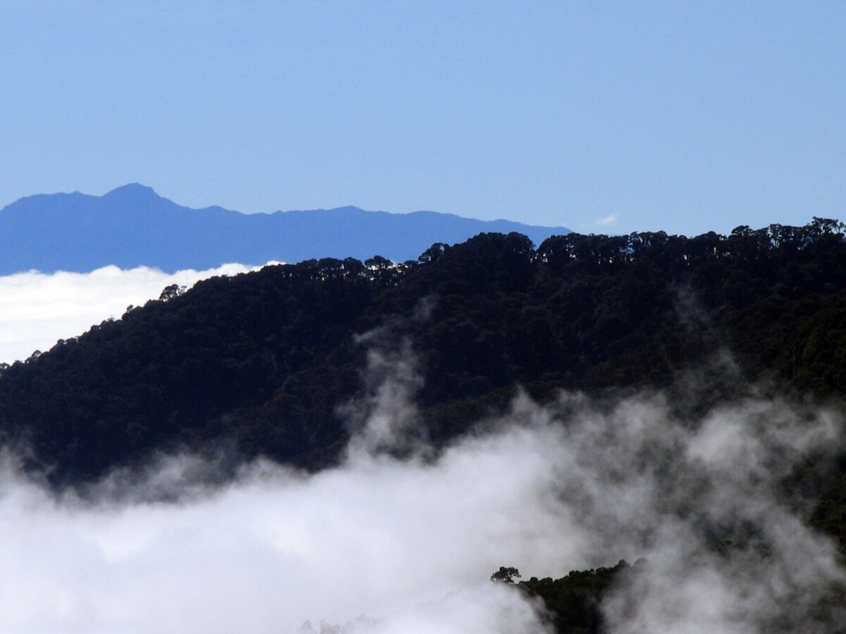 The cloud-wrapped peaks of the Cordillera de Talamanca in La Amistad International Park