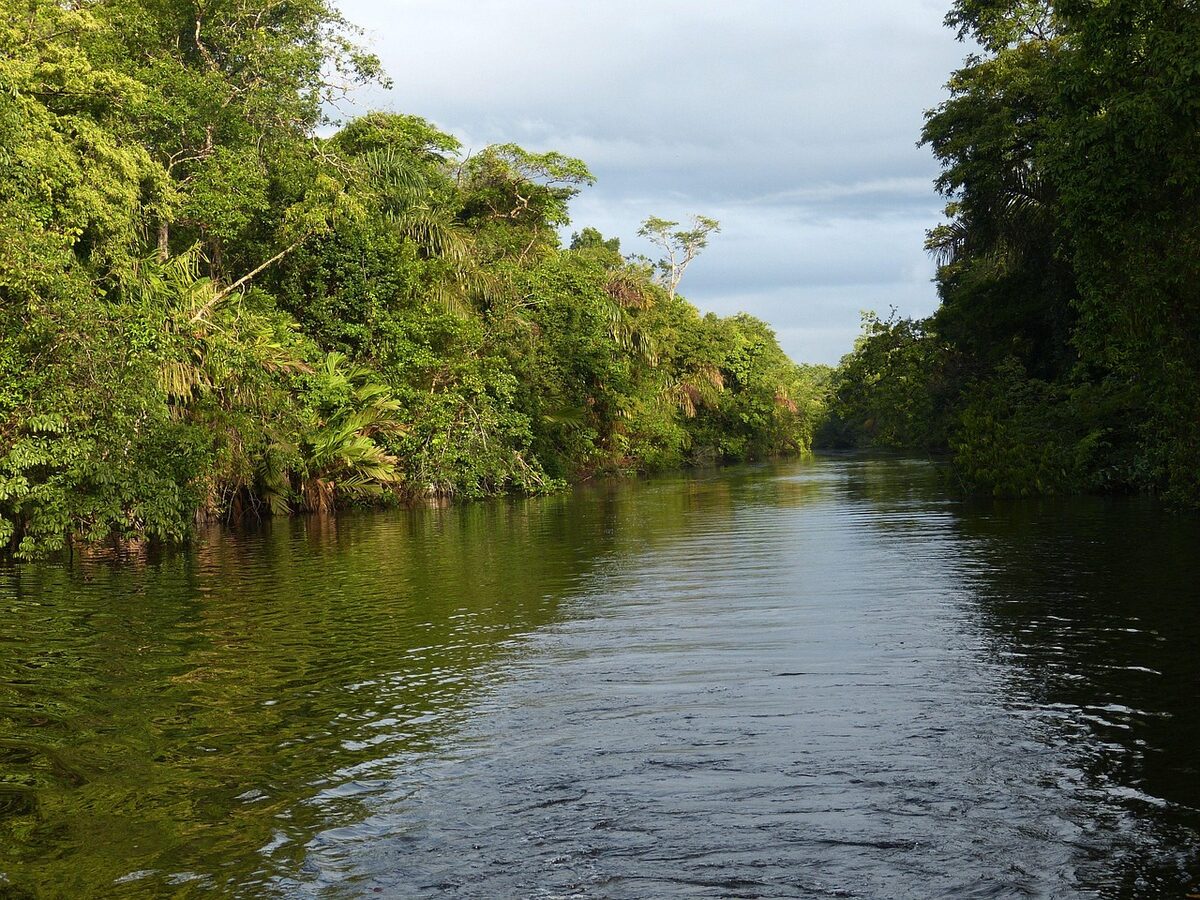 A forested river basin in Costa Rica