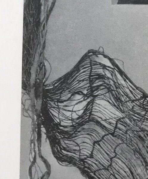 Araüna bark hammock collected by Rusby