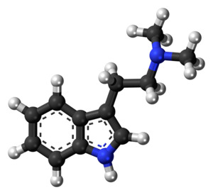 N,N-DMT molecule ball-and-stick model
