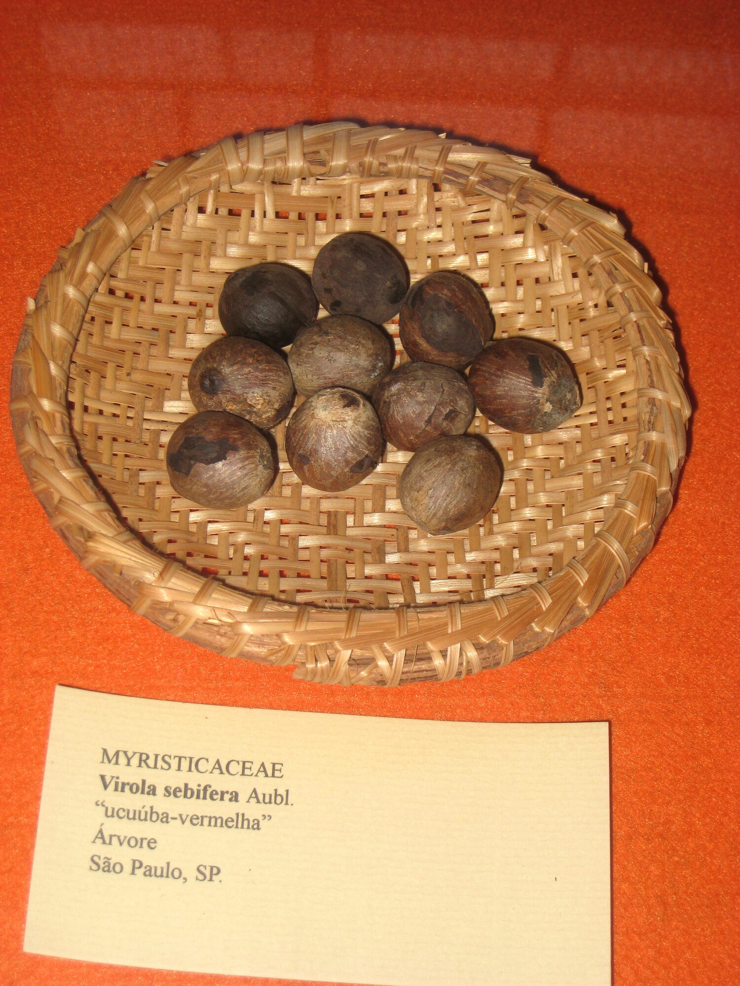 Virola sebifera seeds in a woven basket