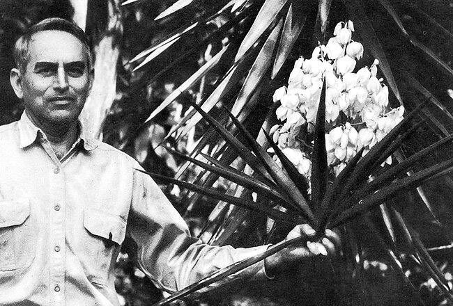 Alexander Skutch standing beside a tropical plant at Los Cusingos