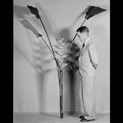 Paul Carpenter Standley with Heliconia plant model