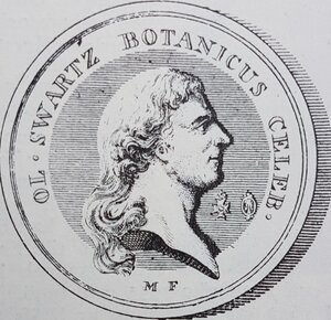 Portrait of Olof Peter Swartz