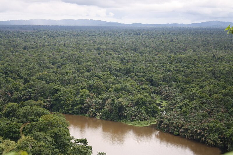 Forests of Tortuguero, Costa Rica, seen from above