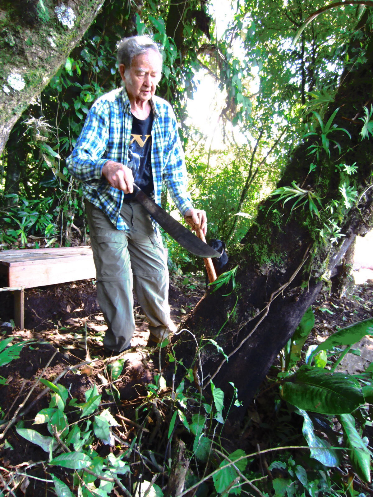 Wolf Guindon with machete in the cloud forest