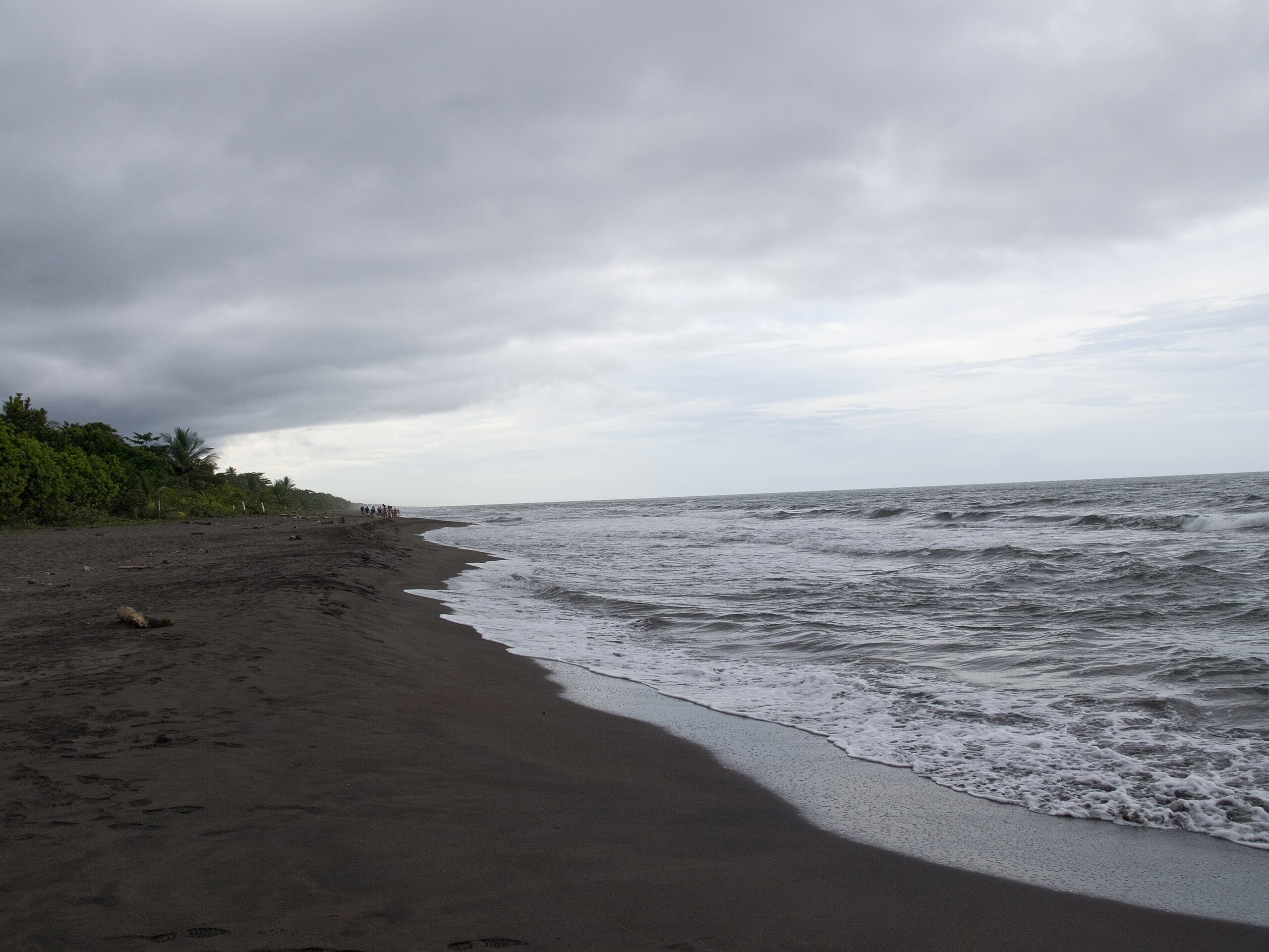 Tortuguero beach, Costa Rica
