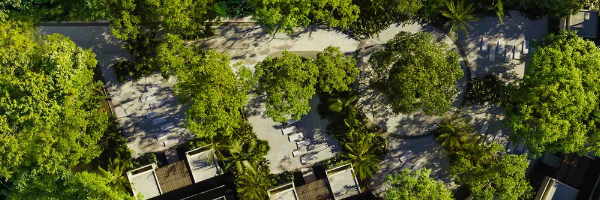 When Paradise Loses the Economic War