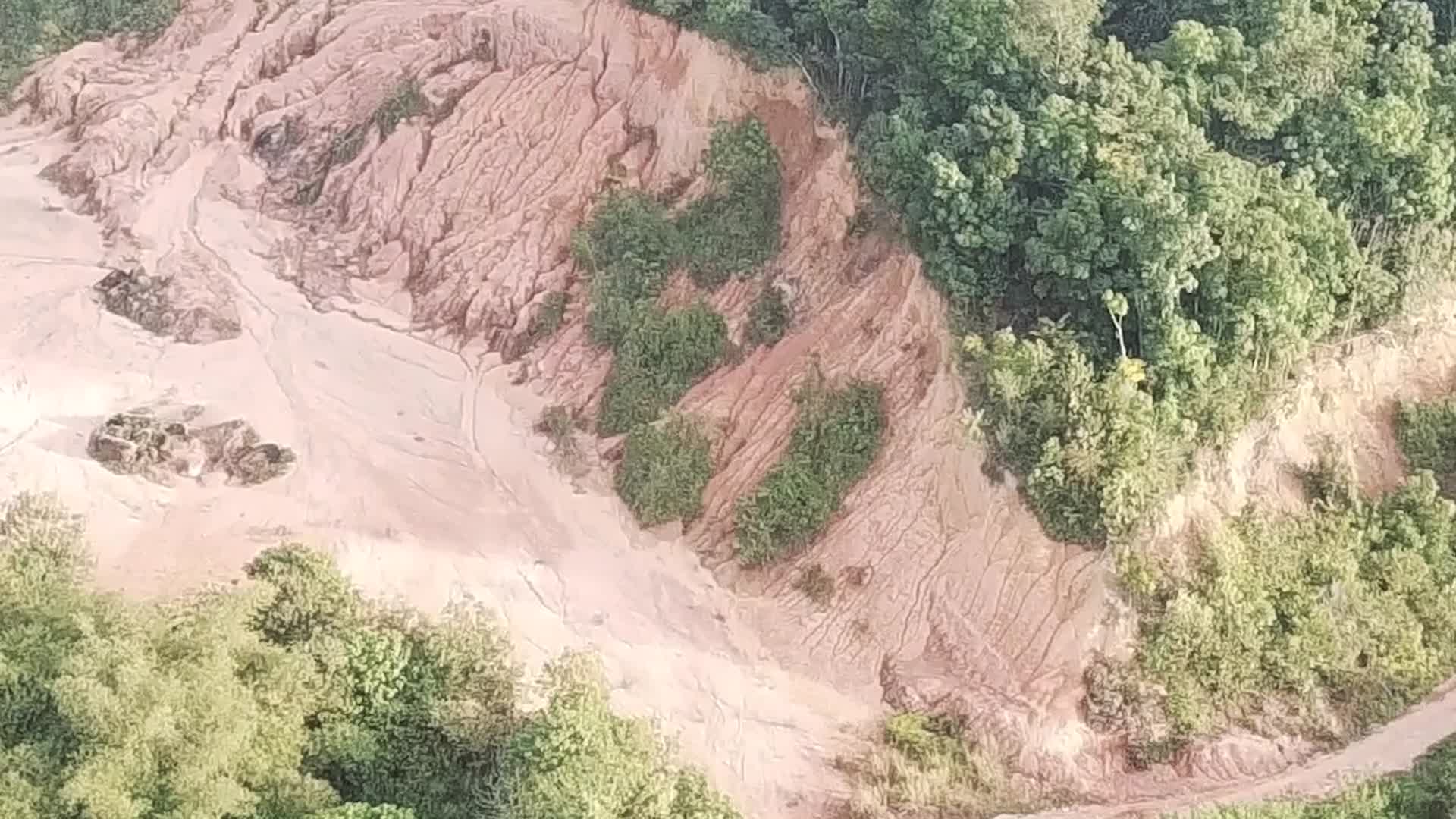 The Forest Can't Wait