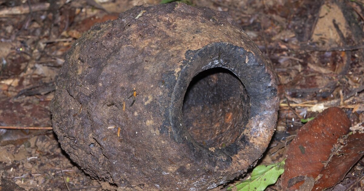 Olla de Mono