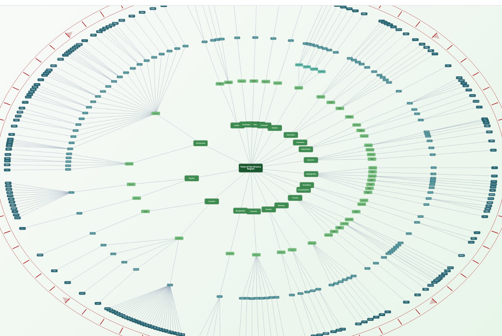 Browse the family tree